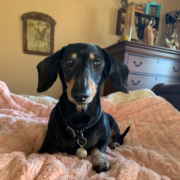 Handmade Jewelry, Recycled Clothing & Vintage Collectibles - Picture 1 of 1